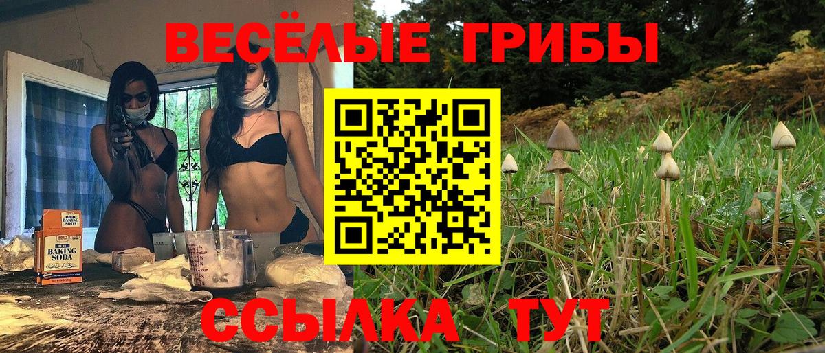 Тельмана  где найти наркотики  Вход с VPN  Галлюциногенные грибы ЛСД 