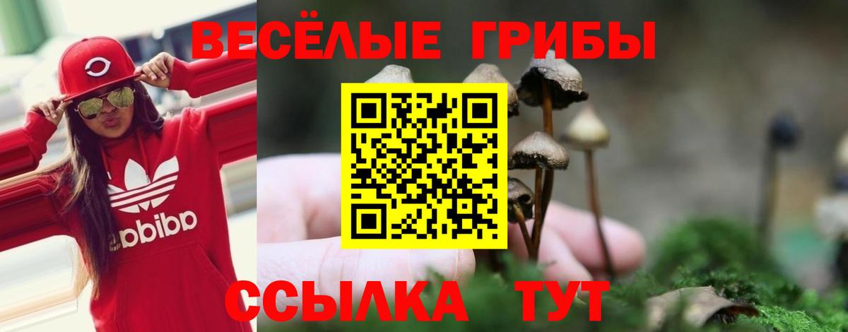 Псилоцибиновые грибы мицелий Тельмана